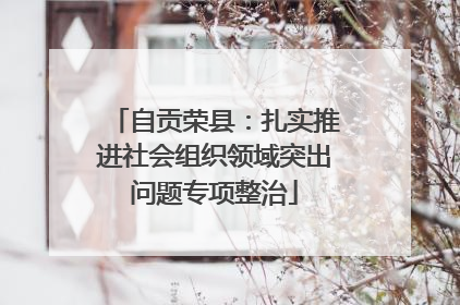 自贡荣县：扎实推进社会组织领域突出问题专项整治