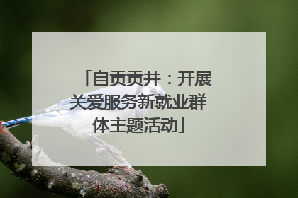 自贡贡井：开展关爱服务新就业群体主题活动