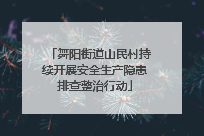 舞阳街道山民村持续开展安全生产隐患排查整治行动