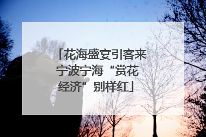 花海盛宴引客来 宁波宁海“赏花经济”别样红