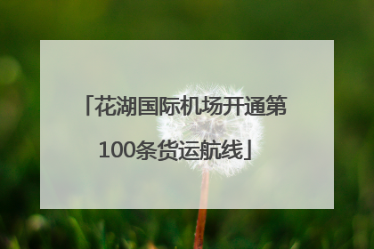 花湖国际机场开通第100条货运航线