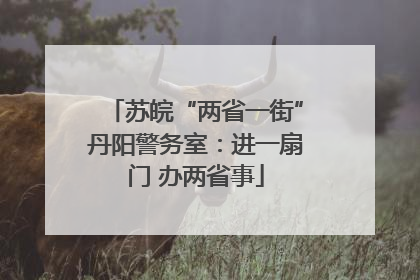苏皖“两省一街”丹阳警务室：进一扇门 办两省事