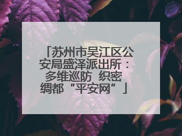苏州市吴江区公安局盛泽派出所：多维巡防  织密绸都“平安网”