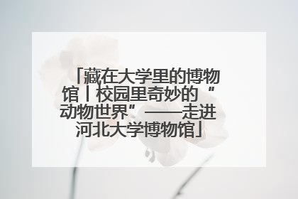 藏在大学里的博物馆丨校园里奇妙的“动物世界”——走进河北大学博物馆