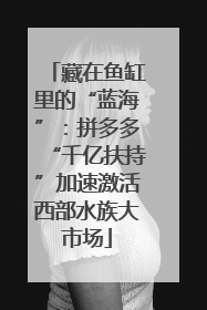 藏在鱼缸里的“蓝海”：拼多多“千亿扶持”加速激活西部水族大市场