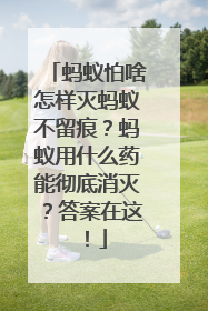 蚂蚁怕啥怎样灭蚂蚁不留痕？蚂蚁用什么药能彻底消灭？答案在这！