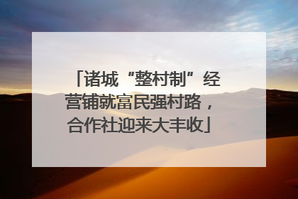 诸城“整村制”经营铺就富民强村路，合作社迎来大丰收