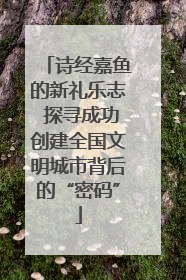 诗经嘉鱼的新礼乐志 探寻成功创建全国文明城市背后的“密码”