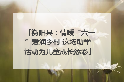 衡阳县：情暖“六一”爱润乡村 这场助学活动为儿童成长添彩