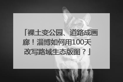 裸土变公园、道路成画廊！淄博如何用100天改写路域生态版图？