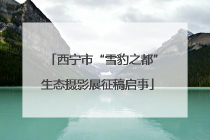西宁市“雪豹之都”生态摄影展征稿启事