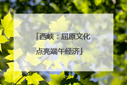西峡：屈原文化点亮端午经济
