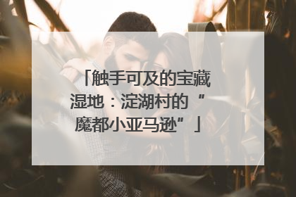 触手可及的宝藏湿地：淀湖村的“魔都小亚马逊”