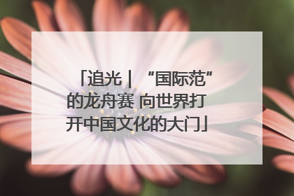 追光｜“国际范”的龙舟赛 向世界打开中国文化的大门