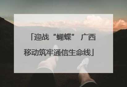 迎战“蝴蝶” 广西移动筑牢通信生命线
