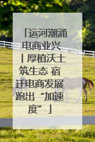 运河潮涌 电商业兴丨厚植沃土筑生态 宿迁电商发展跑出“加速度”