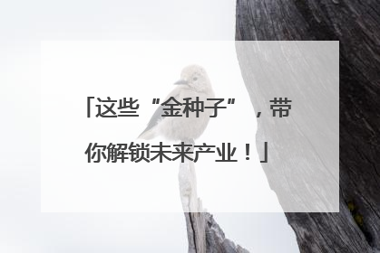 这些“金种子”，带你解锁未来产业！