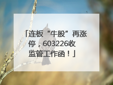 连板“牛股”再涨停，603226收监管工作函！