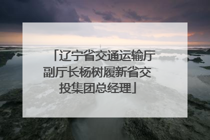辽宁省交通运输厅副厅长杨树履新省交投集团总经理