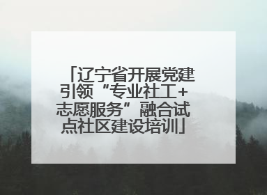 辽宁省开展党建引领“专业社工+志愿服务”融合试点社区建设培训