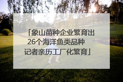 象山苗种企业繁育出26个海洋鱼类品种 记者亲历工厂化繁育