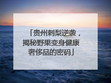 贵州刺梨逆袭，揭秘野果变身健康奢侈品的密码