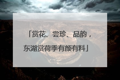 赏花、尝珍、品韵，东湖赏荷季有颜有料