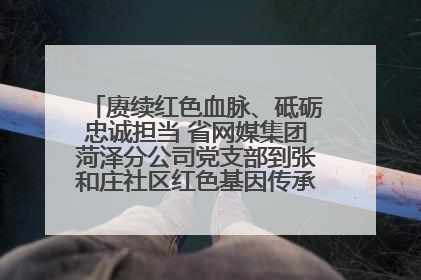 赓续红色血脉、砥砺忠诚担当 省网媒集团菏泽分公司党支部到张和庄社区红色基因传承馆开展主题党日活动