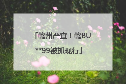 赣州严查！赣BU**99被抓现行