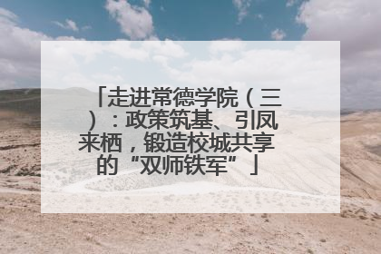 走进常德学院（三）：政策筑基、引凤来栖，锻造校城共享的“双师铁军”