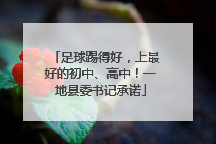 足球踢得好，上最好的初中、高中！一地县委书记承诺