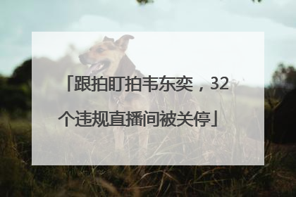 跟拍盯拍韦东奕，32个违规直播间被关停