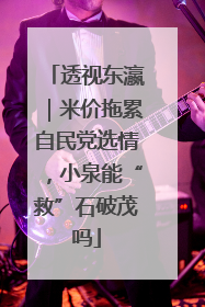 透视东瀛｜米价拖累自民党选情，小泉能“救”石破茂吗