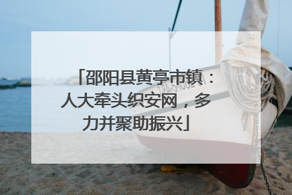 邵阳县黄亭市镇：人大牵头织安网，多力并聚助振兴