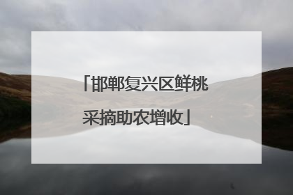 邯郸复兴区鲜桃采摘助农增收