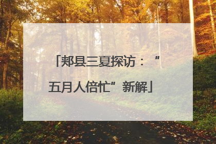 郏县三夏探访：“五月人倍忙”新解