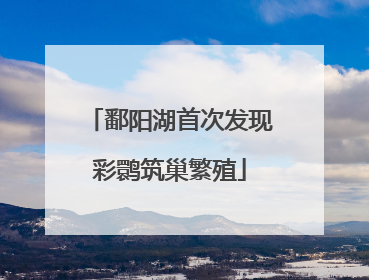鄱阳湖首次发现彩鹮筑巢繁殖
