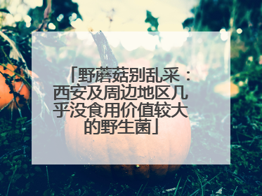 野蘑菇别乱采：西安及周边地区几乎没食用价值较大的野生菌