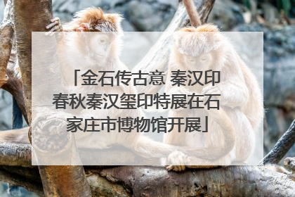 金石传古意 秦汉印春秋秦汉玺印特展在石家庄市博物馆开展