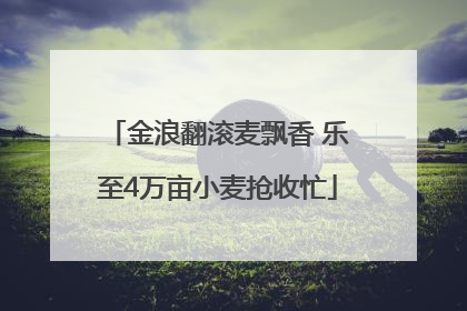 金浪翻滚麦飘香 乐至4万亩小麦抢收忙