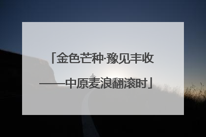 金色芒种·豫见丰收——中原麦浪翻滚时