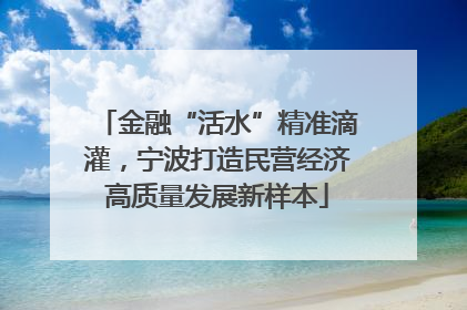 金融“活水”精准滴灌，宁波打造民营经济高质量发展新样本