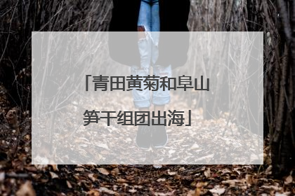 青田黄菊和阜山笋干组团出海