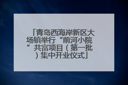 青岛西海岸新区大场镇举行“前河小院”共富项目（第一批）集中开业仪式