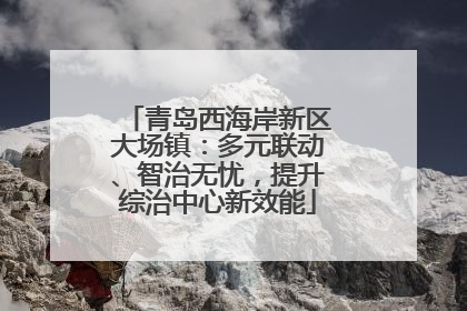 青岛西海岸新区大场镇：多元联动、智治无忧，提升综治中心新效能