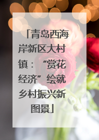 青岛西海岸新区大村镇：“赏花经济”绘就乡村振兴新图景
