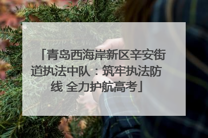 青岛西海岸新区辛安街道执法中队：筑牢执法防线 全力护航高考