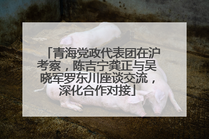 青海党政代表团在沪考察，陈吉宁龚正与吴晓军罗东川座谈交流，深化合作对接
