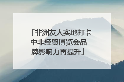 非洲友人实地打卡 中非经贸博览会品牌影响力再提升