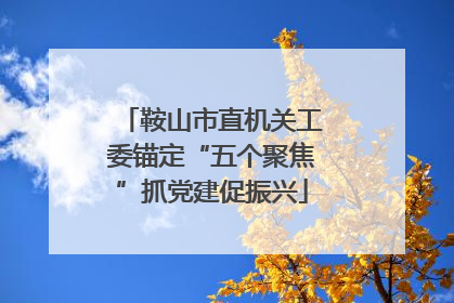 鞍山市直机关工委锚定“五个聚焦”抓党建促振兴